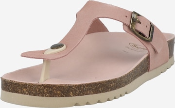 SCHOLL T-Bar Sandals 'NICOLE' in Pink: front