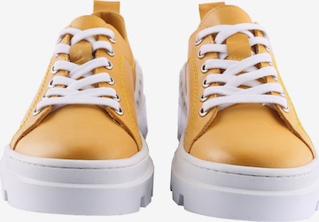 D.MoRo Shoes Sneakers 'Zerofour' in Yellow