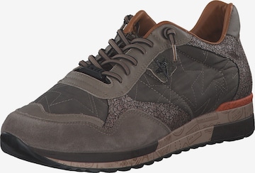 Cetti Schnürschuh 'C848XL' in Grau: Vorderseite