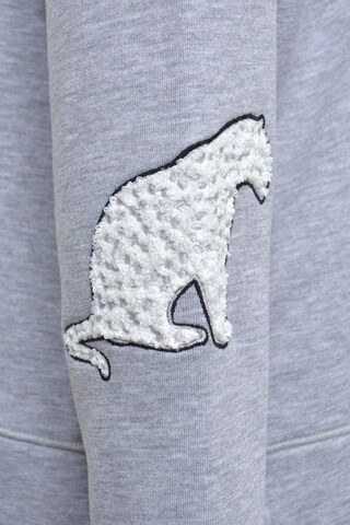 Sweat-shirt 'Crazy' Smith&Soul en gris