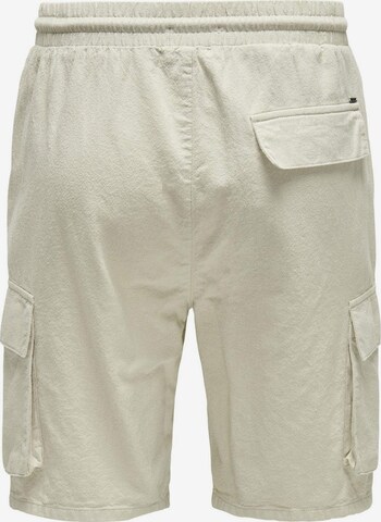 Only & Sons - regular Pantalón cargo 'Sinus' en gris