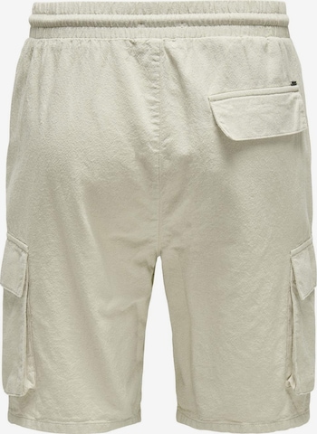 Only & Sons Regular Shorts 'Sinus' in Grau