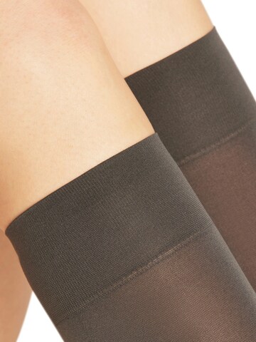 FALKE Overknee Strümpfe 'Seidenglatt'‌‌‌‌‌ in Grau