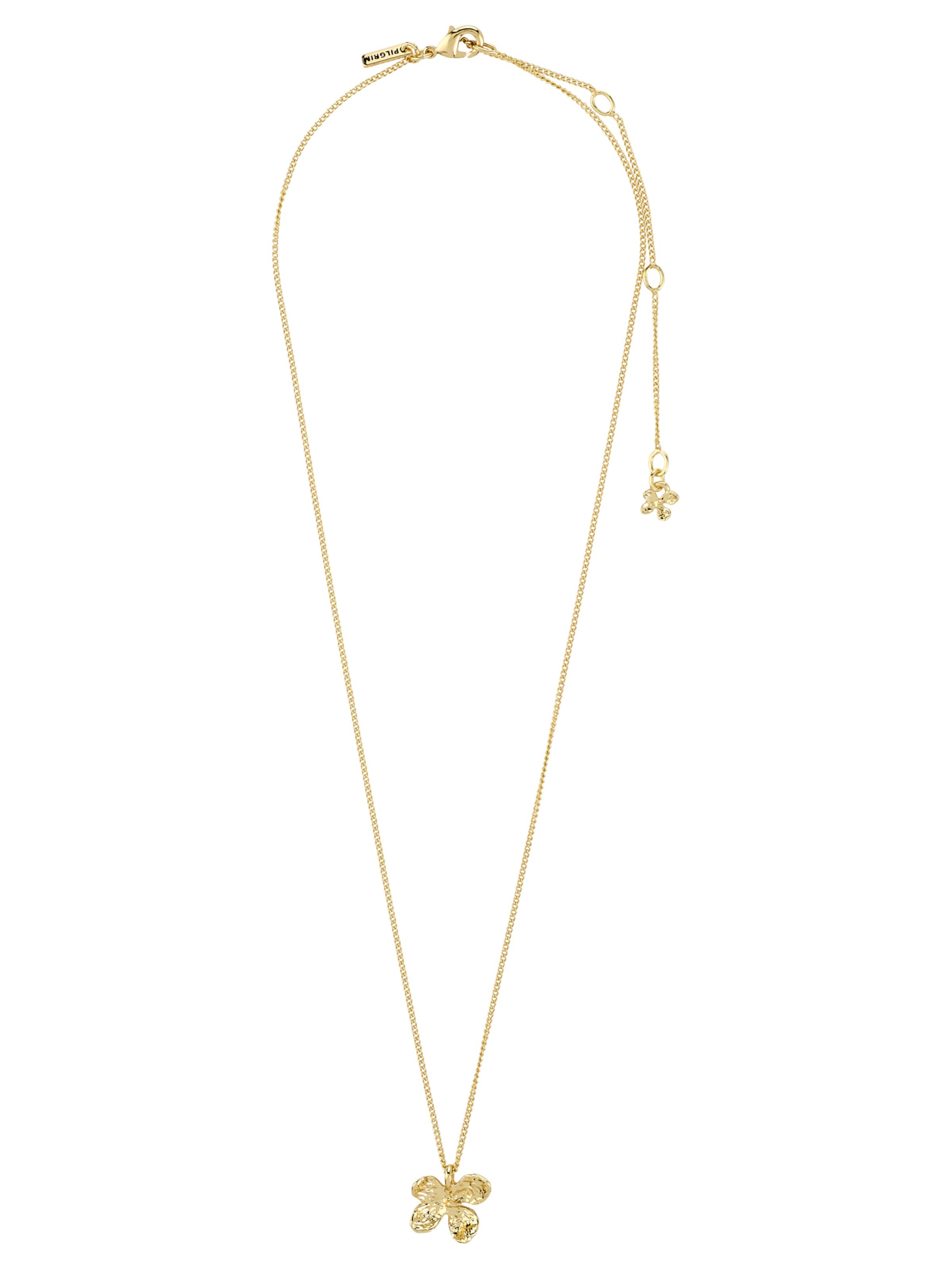 Pilgrim Retiazka 'Ajani' - Zlatá: predná strana