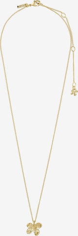 zelts Pilgrim Ķēdīte 'Ajani': no priekšpuses