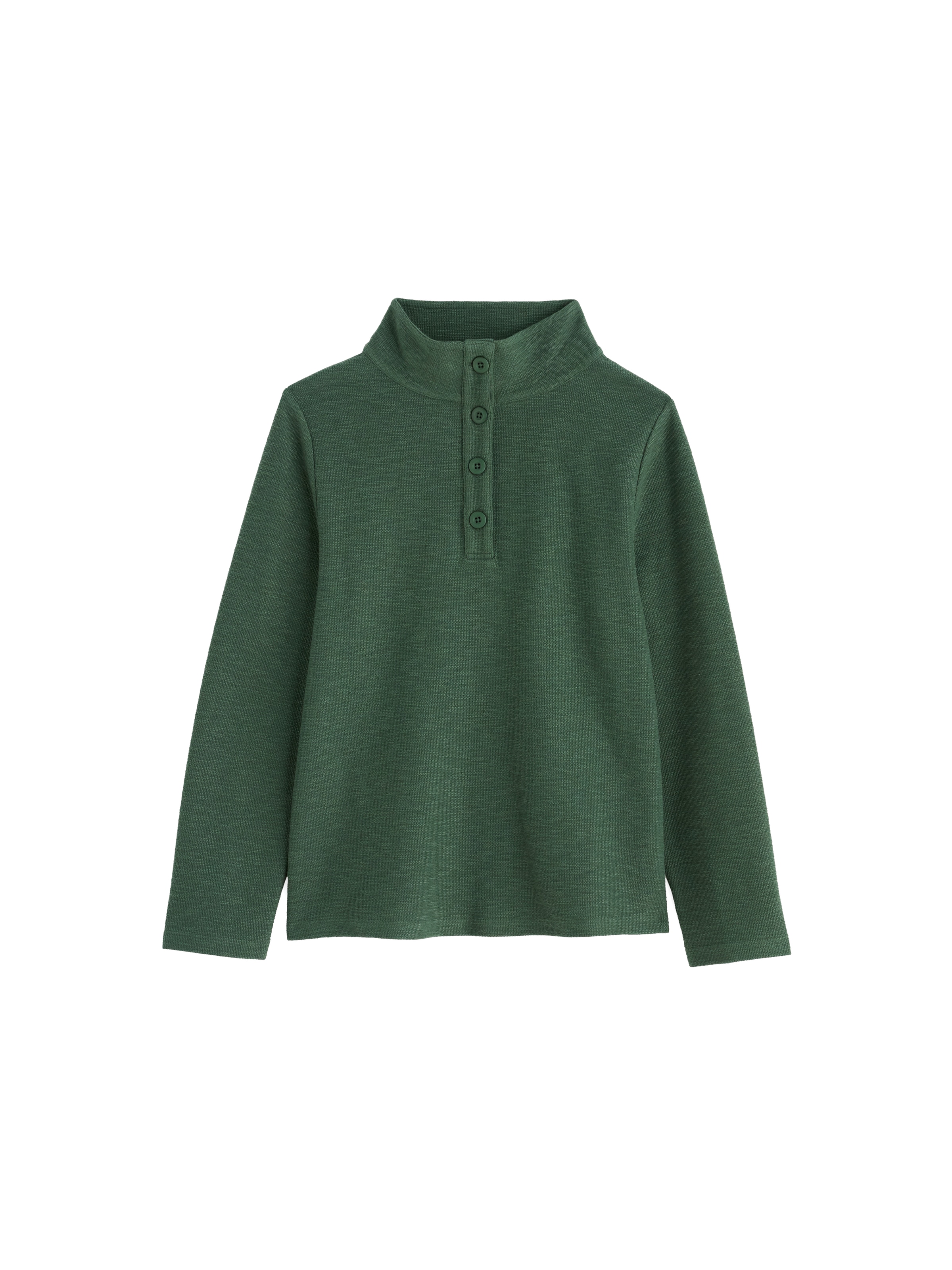 Seasalt Cornwall Sweatshirt 'Last Boat' in Groen: voorkant