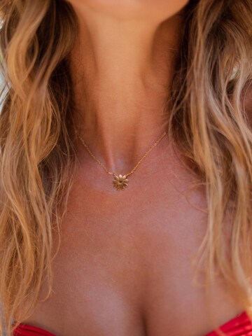 LUUK LIFESTYLE Necklace in Gold