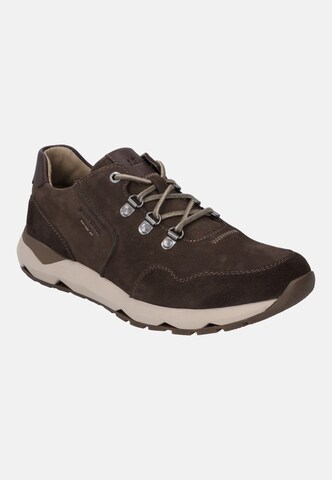 JOSEF SEIBEL Sneaker in Braun