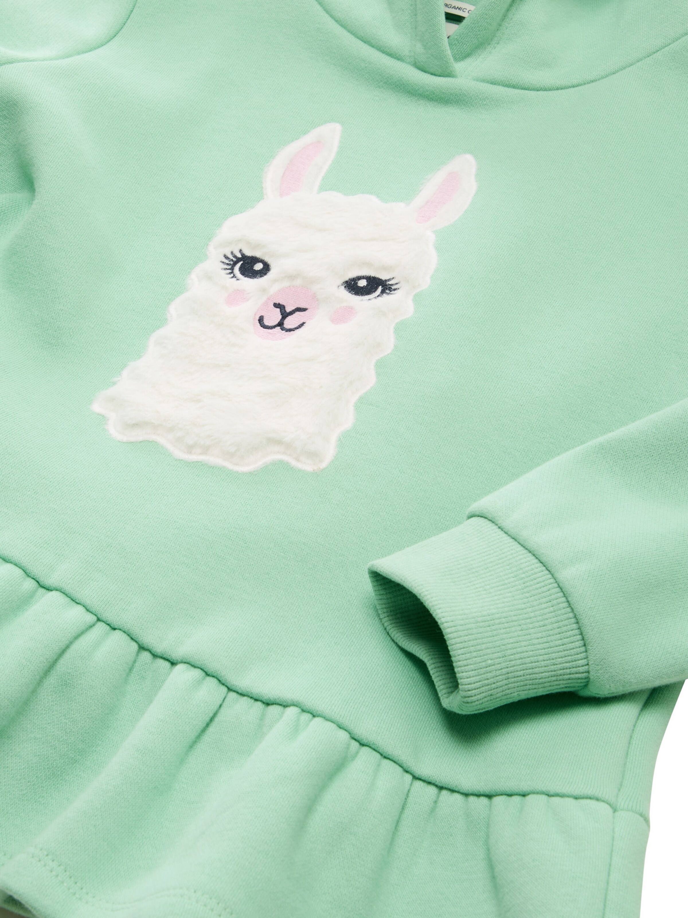 TOM TAILOR Sweatshirt in Green