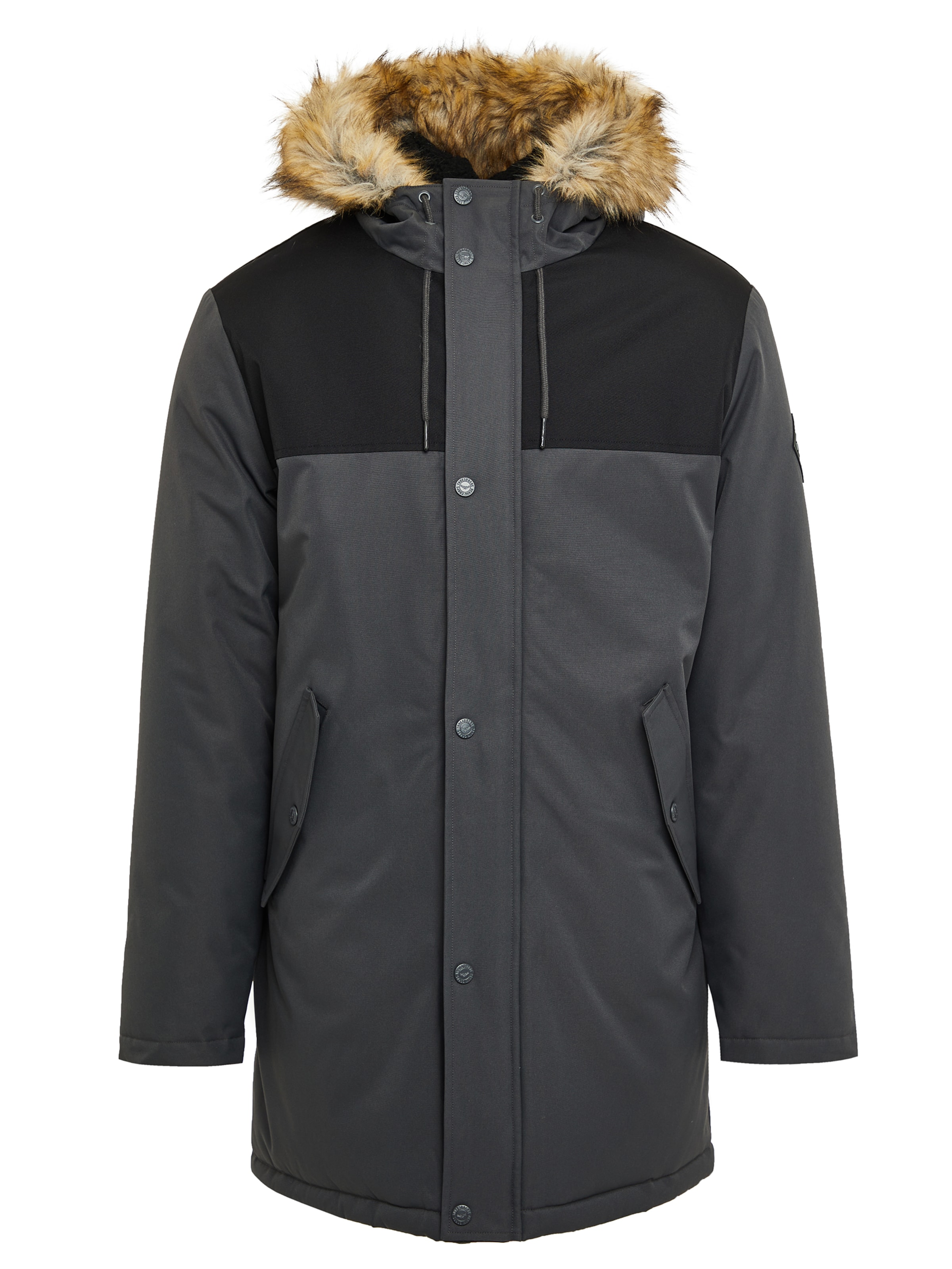 Threadbare Winter jacket 'Parkston' in Grey: front