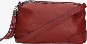 Borsa a tracolla di Gave Lux in rosso: frontale