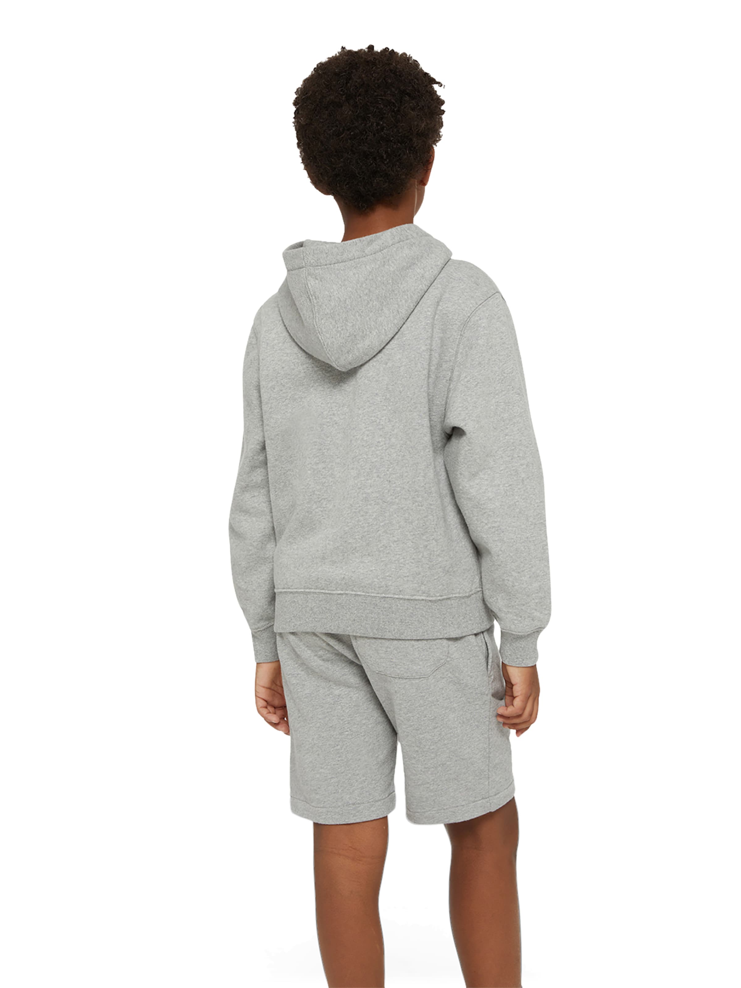 DICKIES Sweatshirt i grå