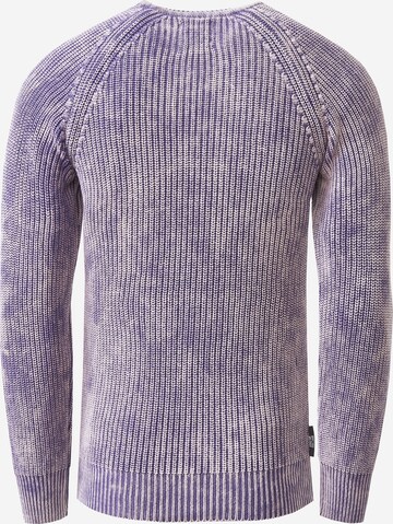 Rusty Neal Sweater in Purple