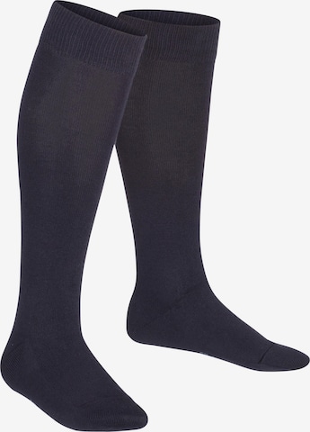 FALKE Socks 'Family' in Blue: front
