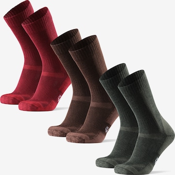 Chaussettes de sport 'Classic Hiking Crew' DANISH ENDURANCE en mélange de couleurs : devant
