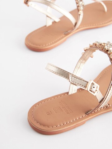 Next Teenslipper in Goud