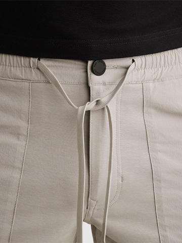 Loosefit Pantalon 'Airylon relaxed fit shorts' PME Legend en gris