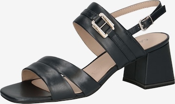 CAPRICE Sandale in Blau: Vorderseite