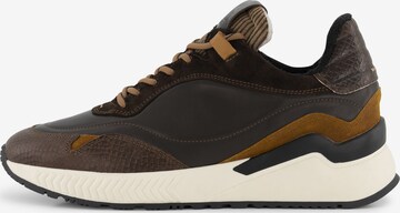 DenBroeck Sneakers 'Baxter St.' in Brown