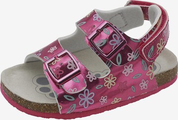 CHICCO Sandalen 'Flosty' in Roze: voorkant