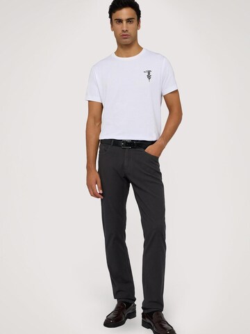 Skinny Pantalon Trussardi en gris