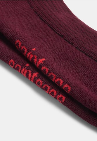 OH APRIL - Calcetines 'Girl's Girl' en marrón