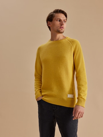 Pullover 'Tamino' di DAN FOX APPAREL in giallo: frontale