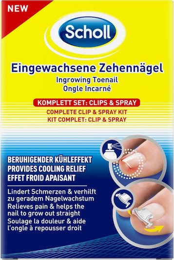 Scholl schuhe online - Wählen Sie dem Gewinner