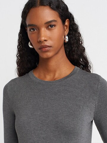 Pull-over 'Pullover' Dilvin en gris