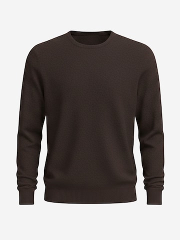 Il Lanificio Pullover‌‌‌‌ in Braun: Vorderseite