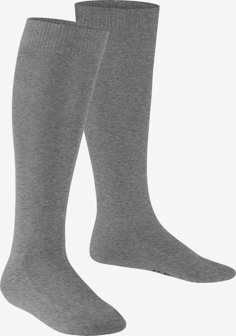FALKE Socks 'Family' in Grey: front