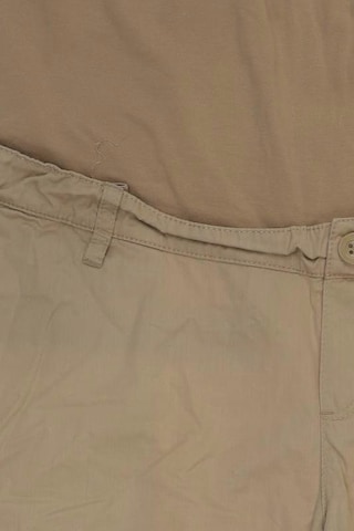 ESPRIT Shorts XL in Beige