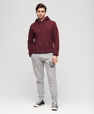 Effilé Pantalon Superdry en gris