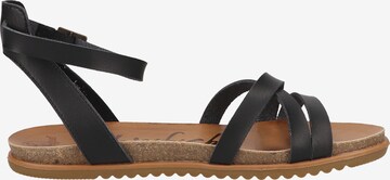 Blowfish Malibu Sandalen met riem 'Maylie' in Zwart