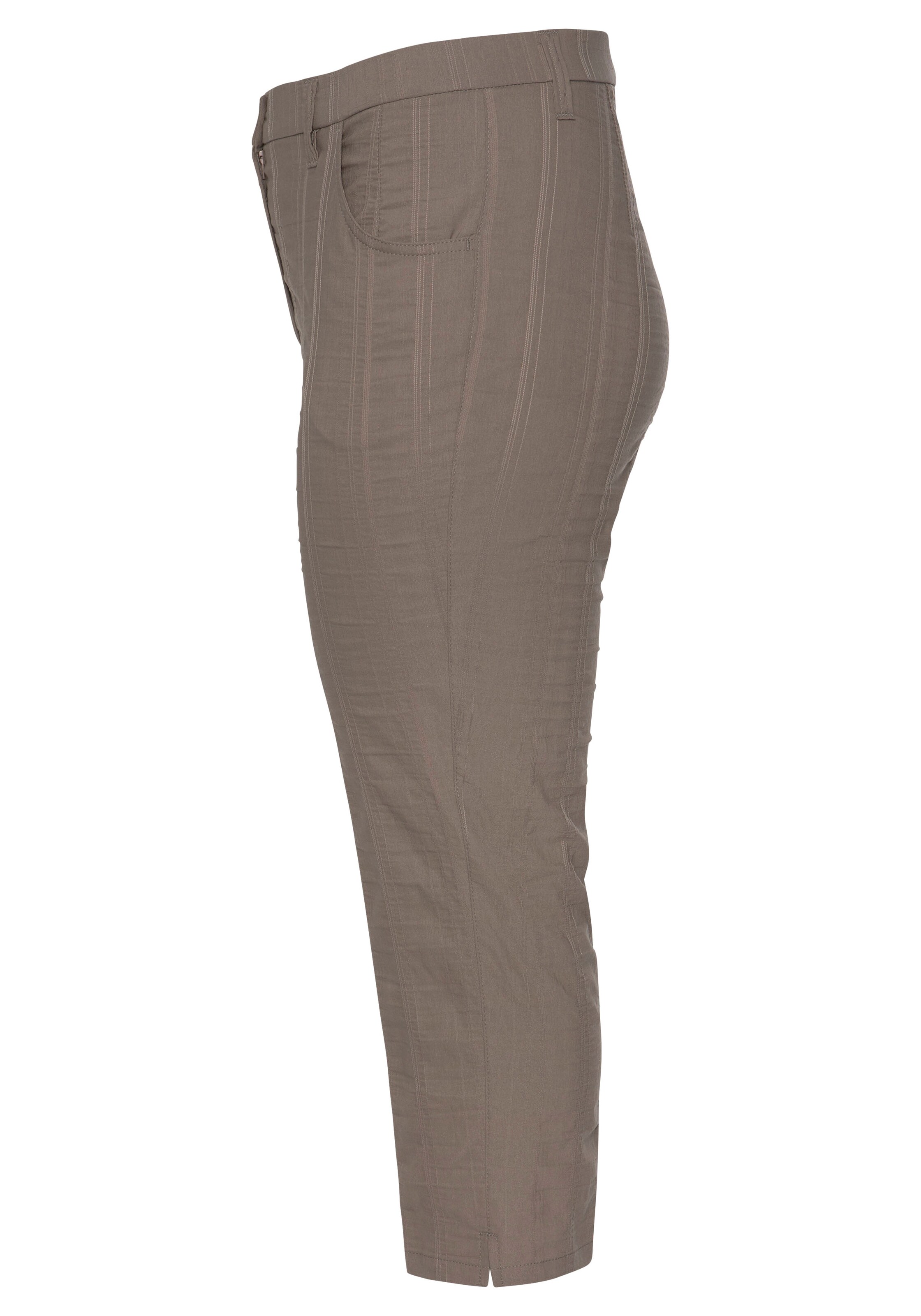 KjBRAND Regular Pants in Brown