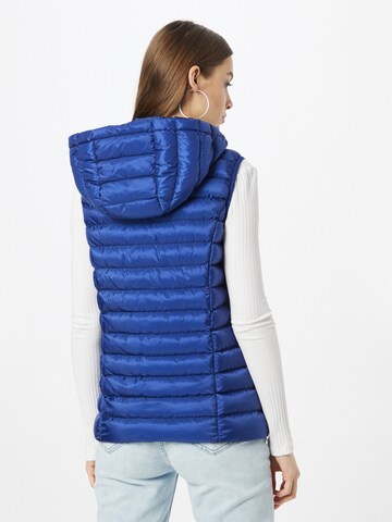 No. 1 Como Vest in Blue