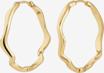 Pilgrim Korvakoru 'Larkin' värissä kulta: etupuoli