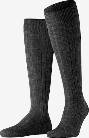 FALKE Knee High Socks 'Teppich im Schuh' in Grey: front