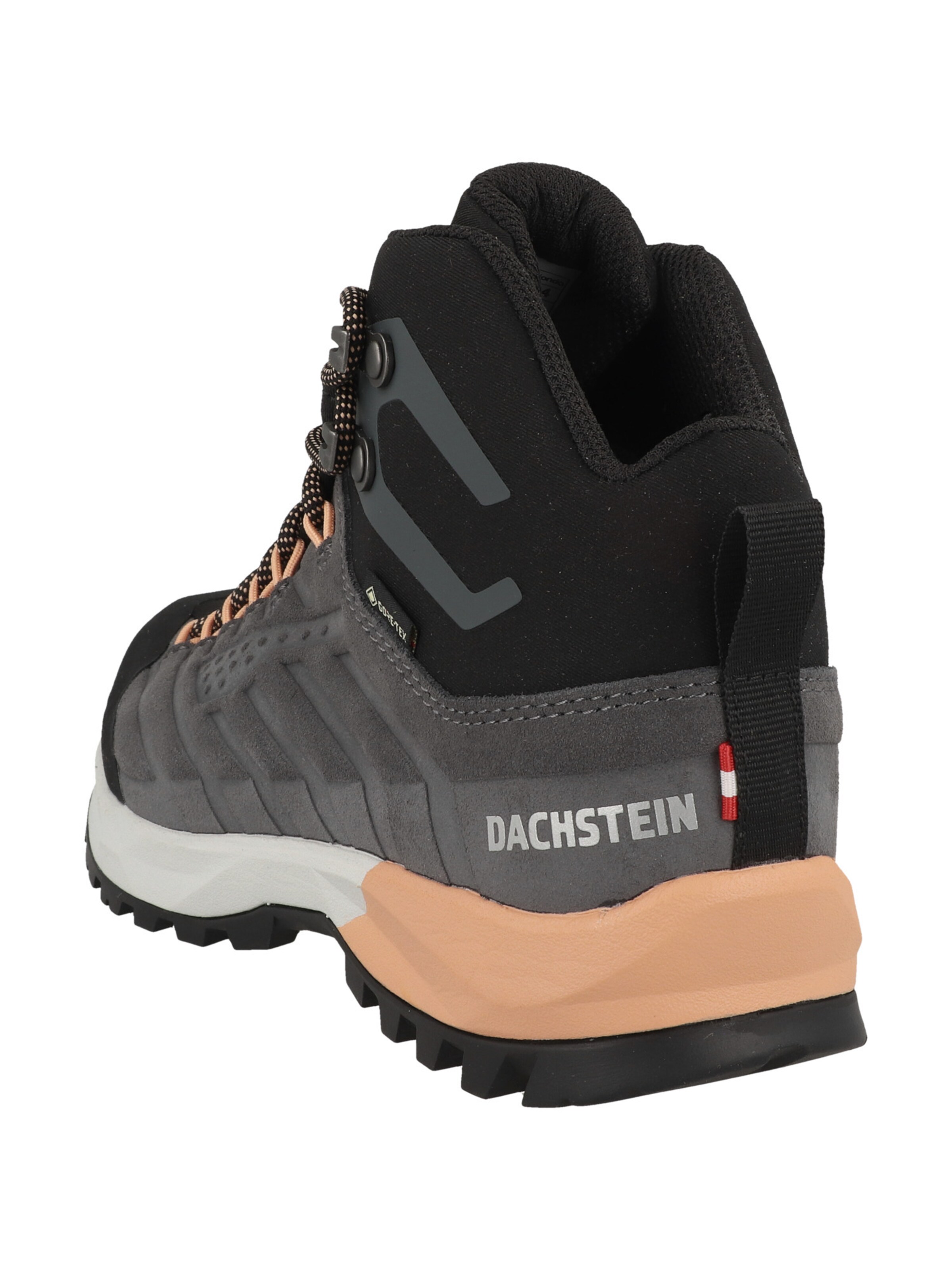 Scarpa bassa 'SF-21 MC' di Dachstein in grigio