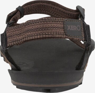 Xero Shoes Sandale 'Z-Trail EV' in Braun