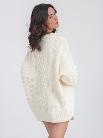 FRESHLIONS Oversized Sweater ' Luiza ' in Beige