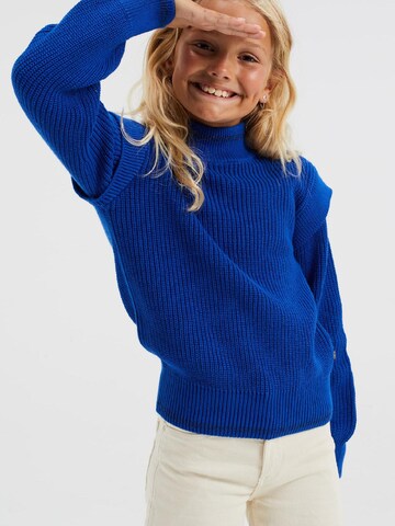 WE Fashion Sweater in Blue: front