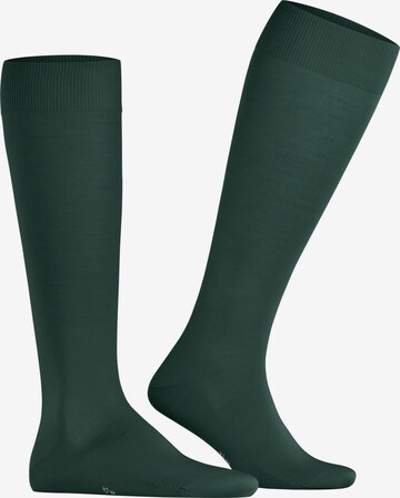 FALKE Knee High Socks 'ClimaWool' in Green: front