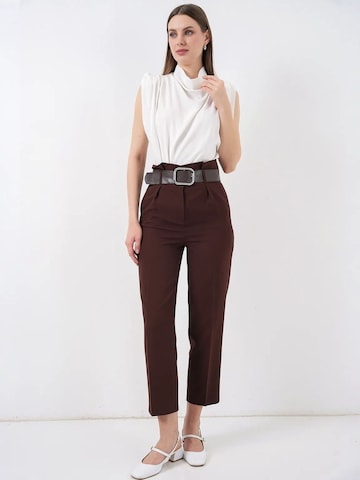 Bigdart Pleat-Front Pants 'Hose' in Brown: front