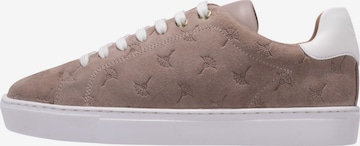 Baskets basses 'Velo Stampa Cari' JOOP! en beige : devant