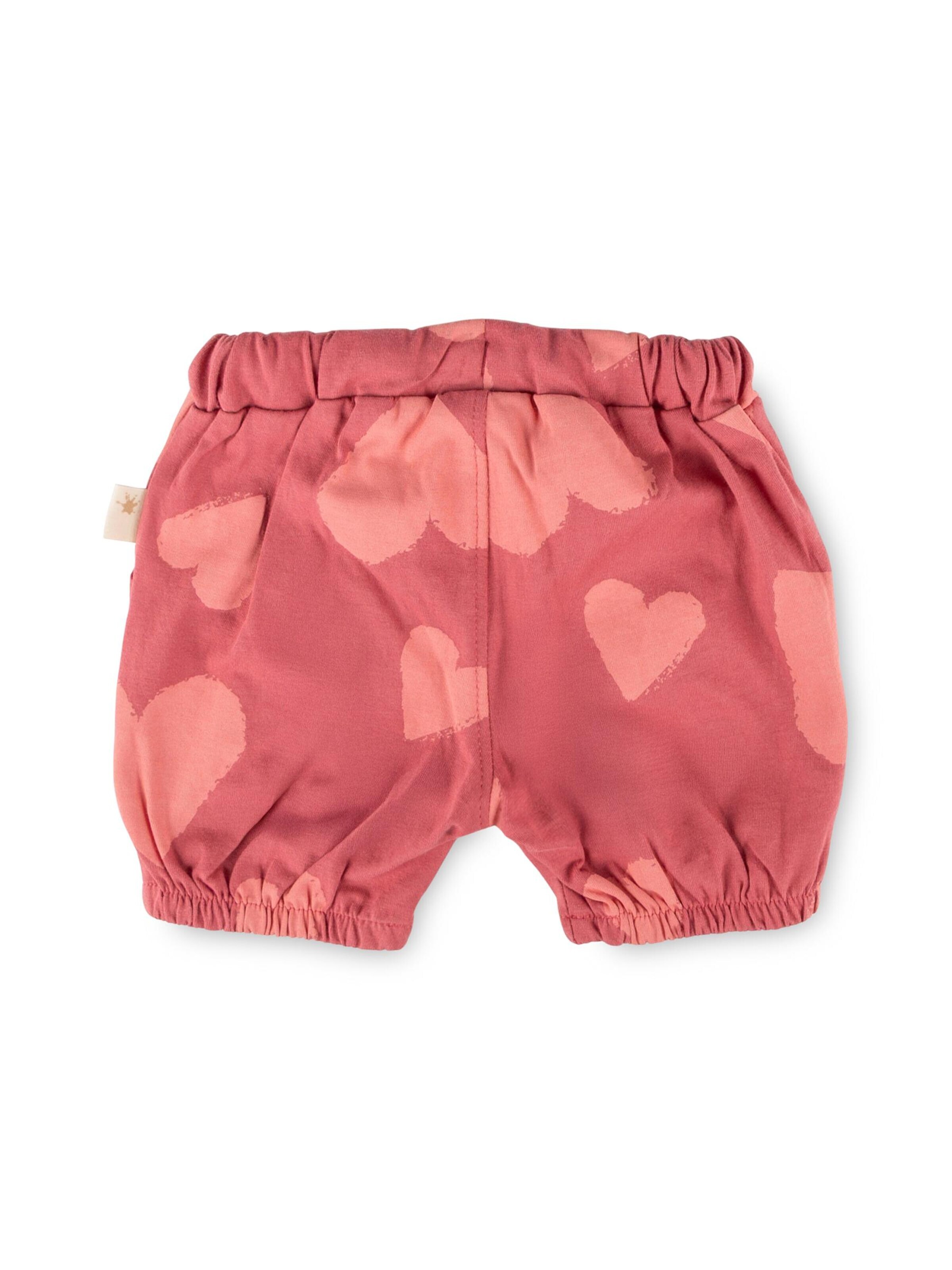 SIGIKID Regular Trousers 'Shorts Pink Birds' in Pink