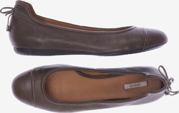 GEOX Flats & Loafers in 41 in Brown: front