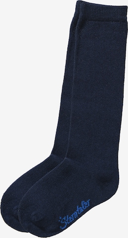 STERNTALER Socks in Blue