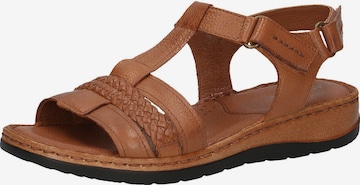 CAPRICE Sandals in Brown: front