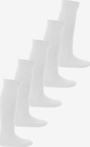 footstar Socken 'EVERYDAY!' in Weiß: Vorderseite
